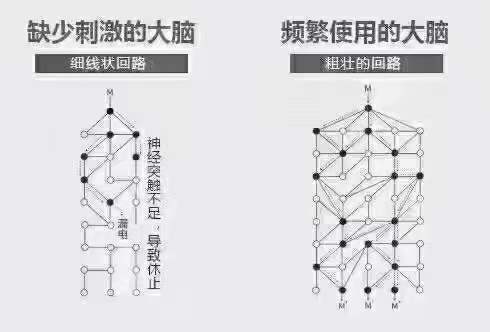 多用脑、多思考、多学习！